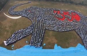 350_Earth_elephant elephant 350 earth sensibilisation-prevention.fr